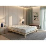 ⁦مرتبة هيلثي من مون لايت⁩ - الصورة ⁦3⁩